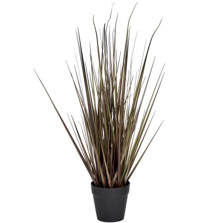 spray-grass-21-inch