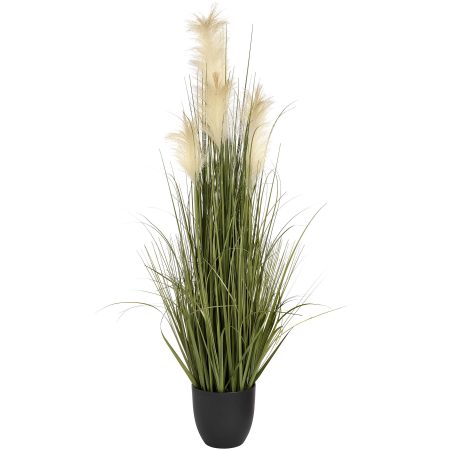 pampas-grass-bush