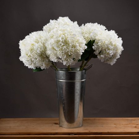 oversized-white-hydrangea