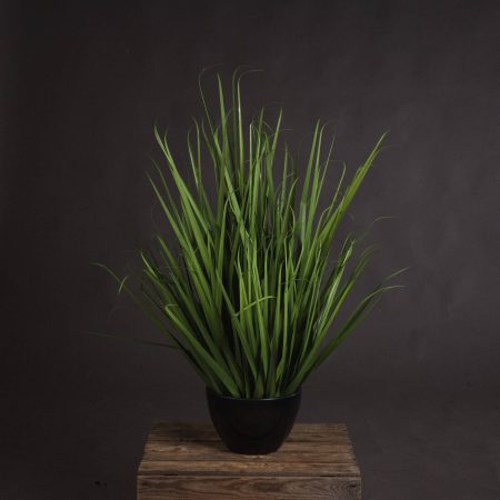 large-field-grass-pot