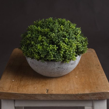 small-hebe-globe-pot