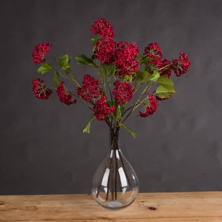 red-autumnal-viburnum