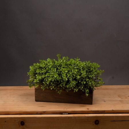 topiary-box