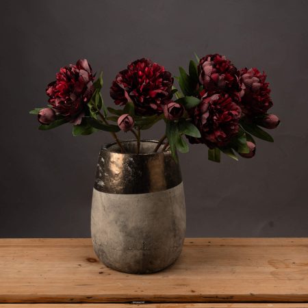 burgundy-peony-rose