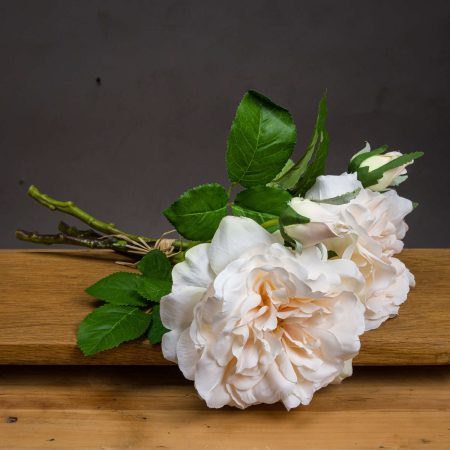 peachy-cream-short-stem-rose-bouquet