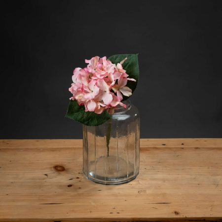 pink-posy-hydrangea