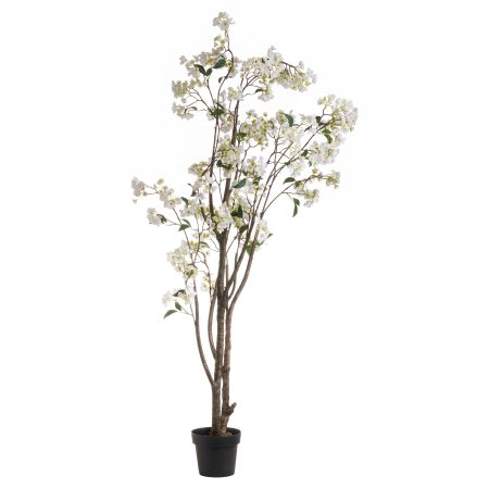 white-wedding-tree