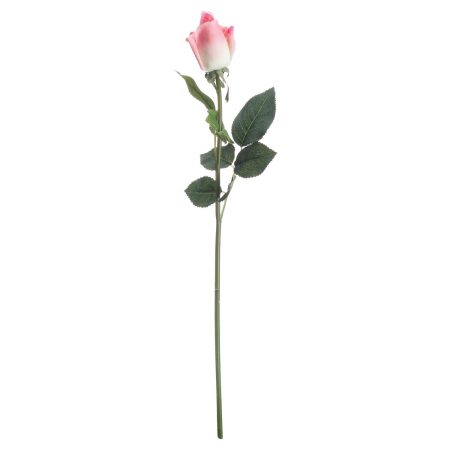 pink-closed-rose-bud