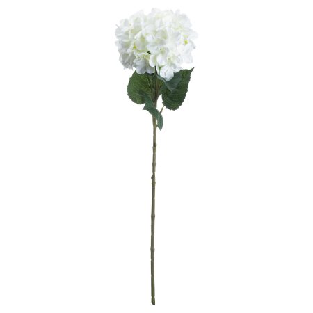 single-white-hydrangea