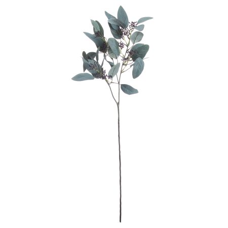 seeded-eucalyptus-stem