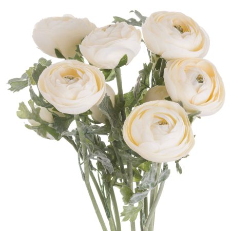 soft-cream-ranunculus