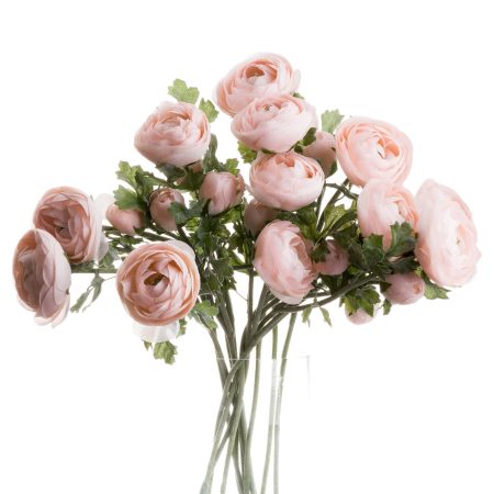 pastel-pink-ranunculus