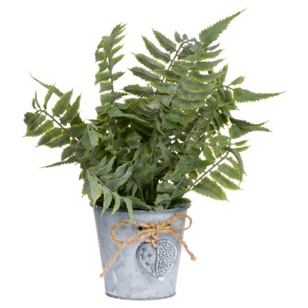 sage-fern-in-a-tin-pot