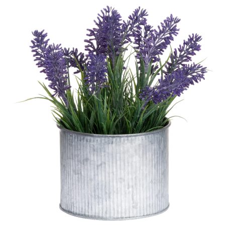 lavender-in-mini-dolly-tin