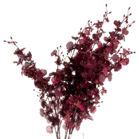 deep-burgundy-orchid-spray