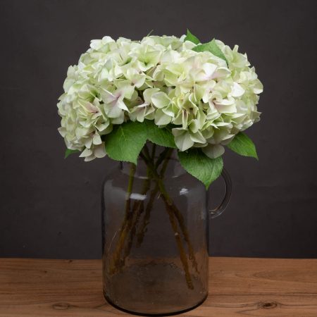 shabby-green-single-hydrangea