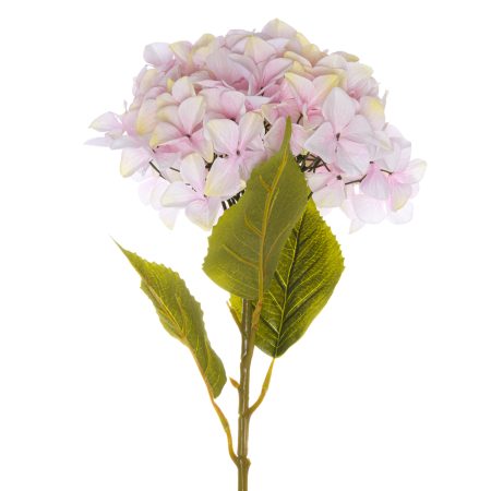 giant-pink-hydrangea