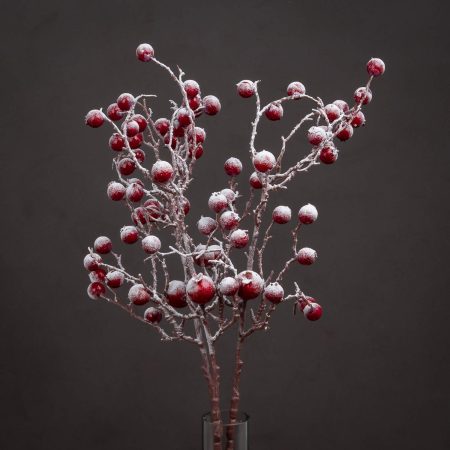 large-red-festive-berry