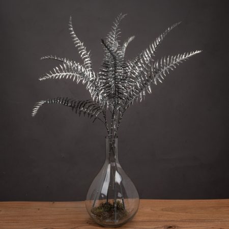 silver-fern-spray