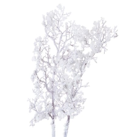 snowy-branch