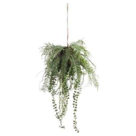 fern-hanging-basket-arrangement