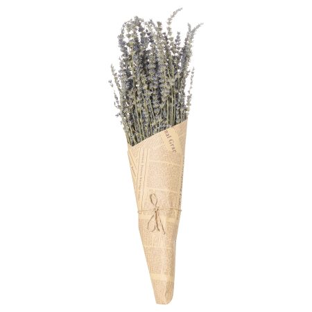 dried-lavender-bunch