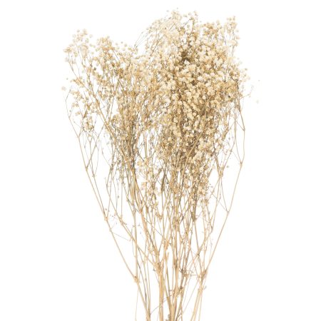 dried-white-babys-breath-bunch