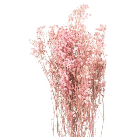 dried-pale-pink-babys-breath-bunch