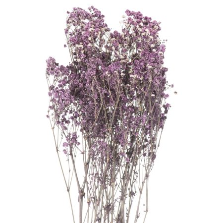 dried-purple-babys-breath-bunch