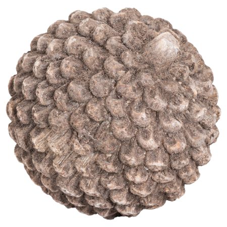 small-stone-pinecone