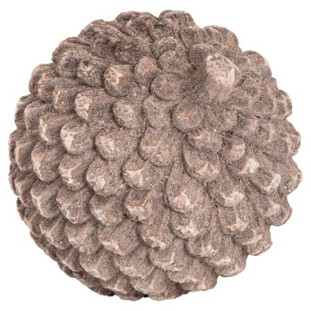 stone-pinecone