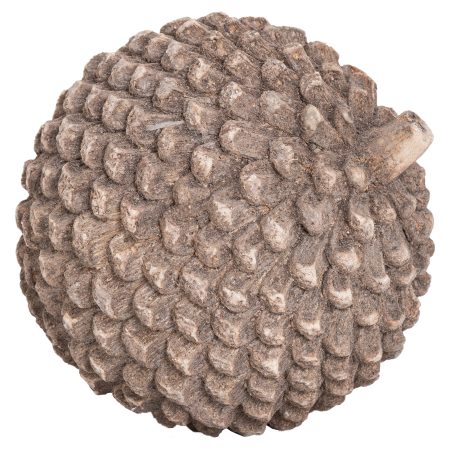 large-stone-pinecone