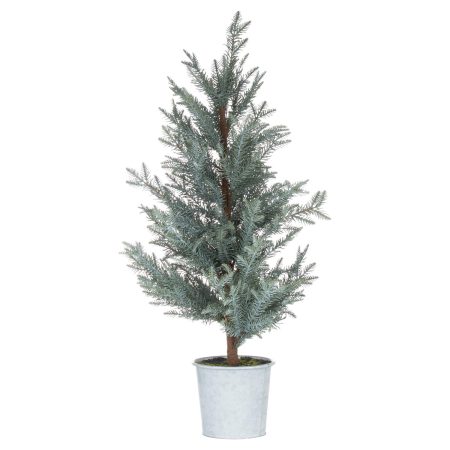 tall-christmas-fir-tree-in-stone