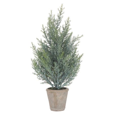 squat-christmas-fir-tree-in-stone-pot