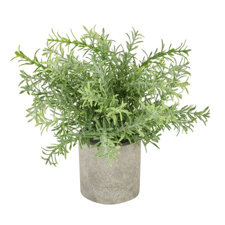 rosemary-plant-in-stone-effect-pot