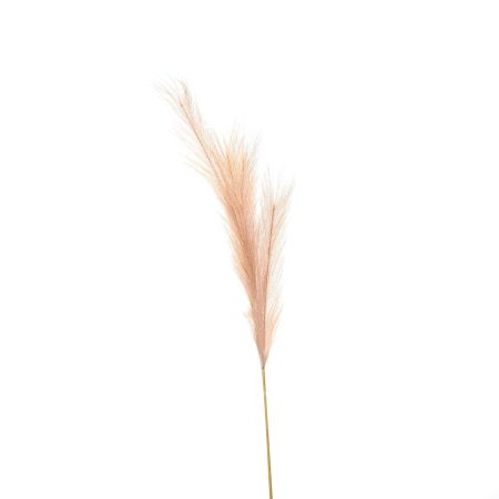 faux-pampas-grass-stem