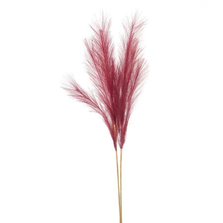 scarlet-faux-pampas-grass-stem