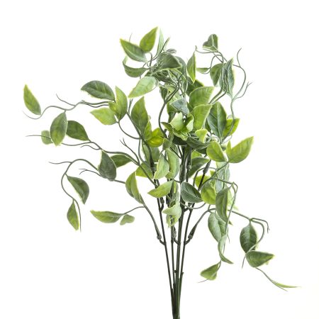 green-shoots-greenery-bunch