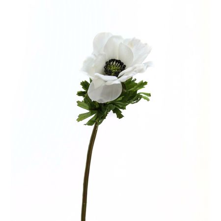 white-anemone-stem