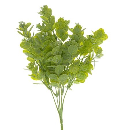 spring-herb-greenery-bunch