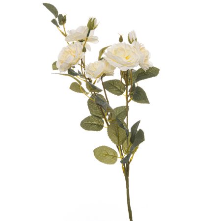 soft-white-cottage-rose-stem