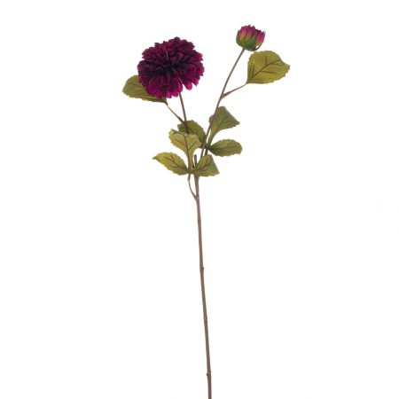 deep-purple-dahlia-stem