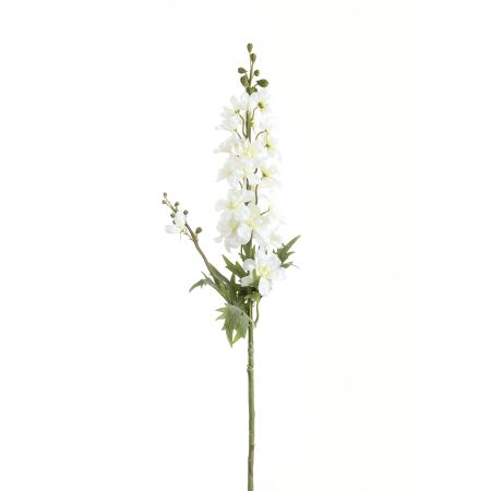 tall-white-delphinium-stem