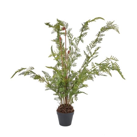 large-tall-black-potted-fern