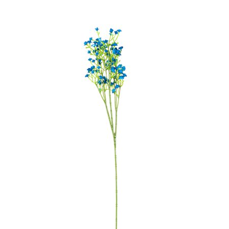 blue-forget-me-not-spray